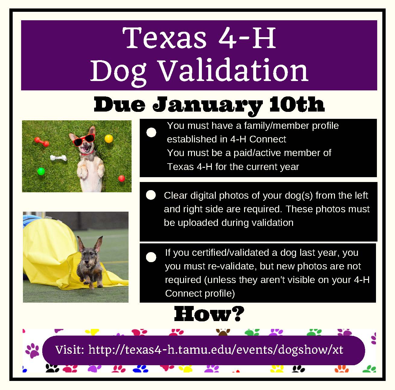 dog-validation