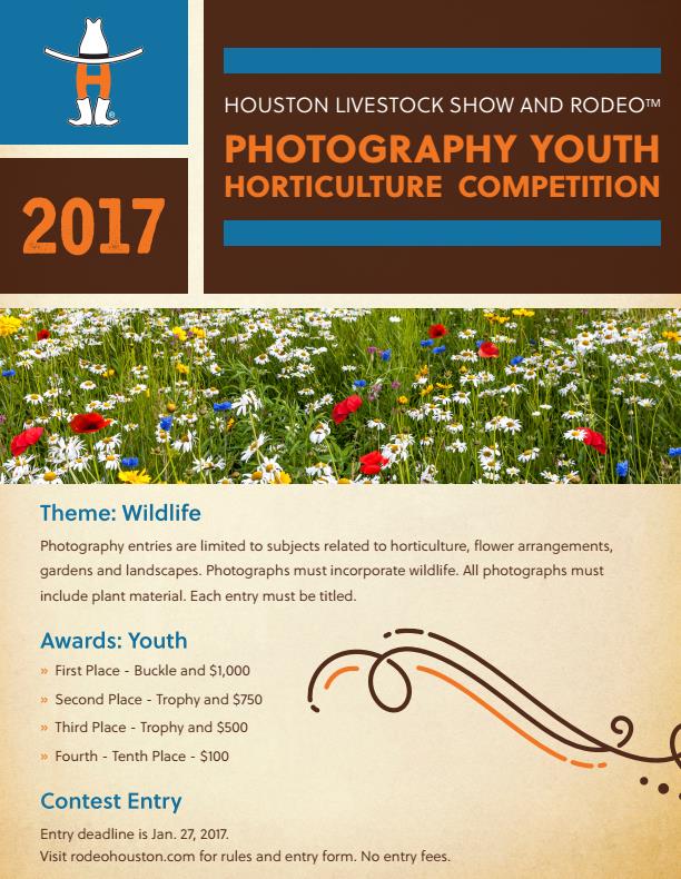 Photo contest for Houston Livestock Show and Rodeo