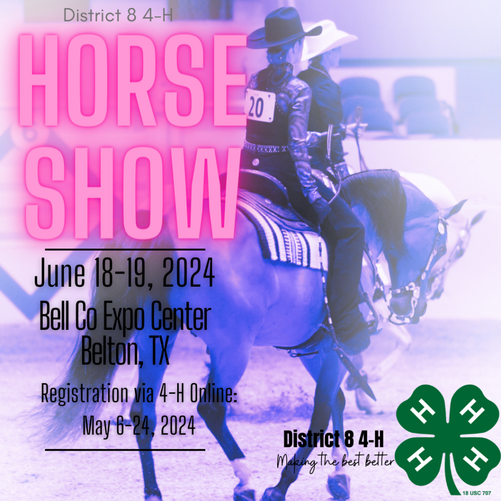 horse-show-district-8-4-h-youth-development